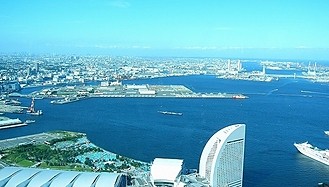 新着情報